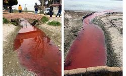 Kamara Deresi'ni kirleten tesis süresiz kapatıldı