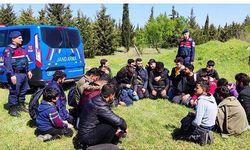 Kırklareli'de 156 kaçak göçmen yakalandı; 6 organizatöre tutuklama