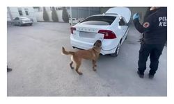 Otomobilin bagajındaki 15 kilo eroini 'Felix' buldu 