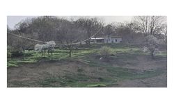 Pompalı tüfekle dehşet saçıp eşi ile oğlunu öldürdü