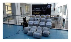 Sebze kasalarına gizlenen 113 kilo esrarı 'Uzi' buldu