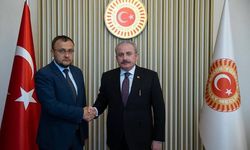 Şentop: Savaşın sona erdirilmesi için sonuç alıcı adımlar atılması gerekiyor