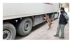 TIR'da 10 kilo metamfetamin ele geçirildi