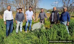 Tire'de 1 yılda 300 trafo çalındı, çiftçiler yardım istedi