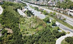 31 yıl önce keşfedilen Gültepe Nekropolü, sahipsiz kaldı