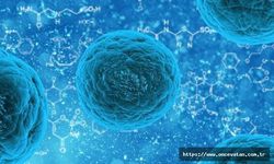ABD’de gizemli hepatit vaka sayısı 180 oldu