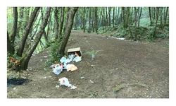 Belgrad Ormanı'nı çöplüğe çevirdiler