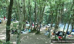 Belgrad Ormanı'na piknikçi akını