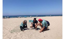 Caretta caretta yasağı; 3 sahile gece girmenin cezası 109 bin TL
