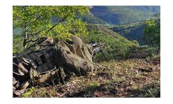 EREN ABLUKA-5 Operasyonu'nda 2 terörist etkisiz hale getirildi