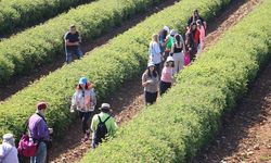 Gülün serüveni Isparta’da ziyaretçilere anlatılıyor