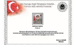 MSB: Pençe-Kilit bölgesinde 1 asker şehit oldu
