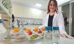 Tarımda yılda 26 milyon ton kaybın önüne geçilecek proje
