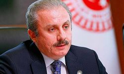 TBMM Başkanı Şentop'tan 'Anneler Günü' mesajı