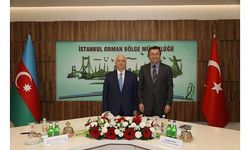 Türkiye ve Azerbaycan orman yangınlarına karşı iş birliği yapacak