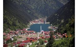 Uzungöl'ü çevreleyen kaçak yapılar yıkılıyor