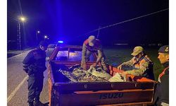 Van'da kaçak avlanan 1 ton inci kefali ele geçirildi