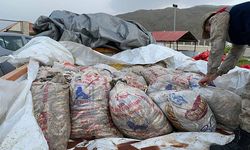 Van'da kaçak avlanan 11 ton inci kefali ele geçirdi