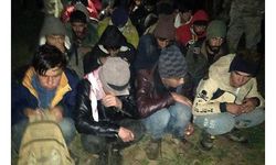 Van'da, tarlada 57 kaçak göçmen yakalandı