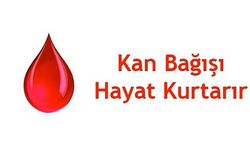 14 HAZİRAN DÜNYA  GÖNÜLLÜ KAN BAĞIŞÇILARI  GÜNÜ