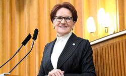 Akşener'den Pınar Gültekin kararı tepkisi