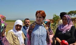 Akşener: Marmara Gölü'nün kurtarılması için girişimlerde bulunacağız