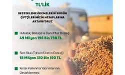 Bakan Kirişci: Destekleme ödemelerini hesaplara aktarıyoruz