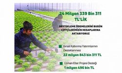 Bakan Kirişci: Tarımsal destekleme ödemelerini hesaplara aktarıyoruz
