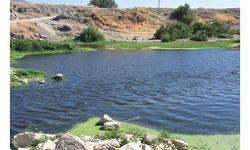 Gediz Nehri'nde kirlilik ve koku tedirginliği