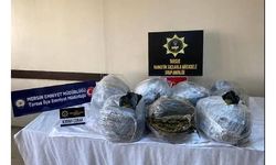 Hayvan kemiklerinin arasından 50 kilo esrar çıktı 