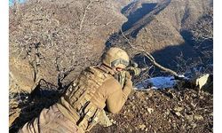 İçişleri: Hakkari'de 2 terörist etkisiz hale getirildi