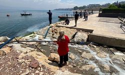 İzmit Körfezi'ne beyaz renkli sıvı aktı, inceleme başlatıldı