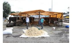 Kartal'da kurban satış pazarı kuruldu 