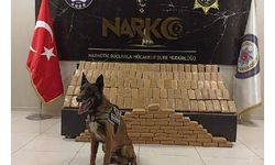 'Magnum', araca gizlenen 95 kilo eroini buldu