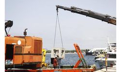 Marmara Denizi’nde canlılara yeni yuva