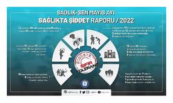 Sağlık-Sen: Mayıs ayında 21 sağlık çalışanı şiddete maruz kaldı