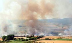 Tekirdağ'da buğday ve arpa ekili 100 dönüm tarla yandı