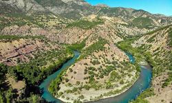 Tunceli’de köylüler dışında ormanlara giriş yasaklandı