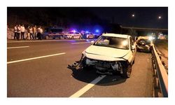 Başıboş 2 manda kazaya neden oldu: 1 ölü, 2 yaralı
