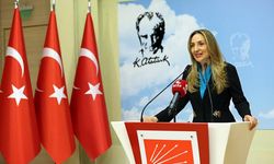 CHP'li Nazlıaka: Şiddet mağduru 6 bin 500 kadının hayatına dokunduk
