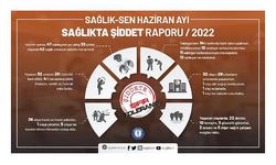 Haziran ayında 42 sağlık çalışanı şiddete maruz kaldı
