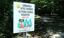 İstanbul'da ormanlarda ateş yakma yasağı başladı