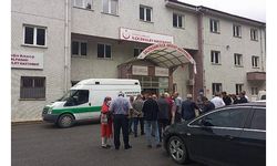 Kestikleri ağacın altında kalan baba-oğul öldü
