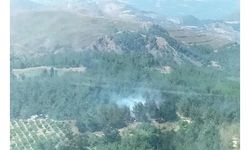 Manisa'da orman yangını
