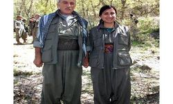 MİT, PKK/KCK'nın sözde yürütme konseyi üyesini etkisiz hale getirdi