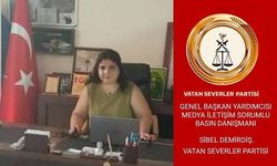 Sibel Demirdiş çalışmalarına devam ediyor
