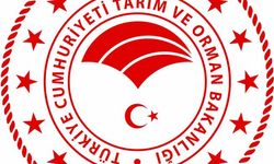 'Türkiye Cumhuriyeti Devleti adına yurt dışında arazi kiralanması söz konusu değildir'