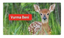 Av izni verilen hayvanlar için 120 bin imza: Vurma Beni