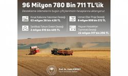 Tarımsal destek ödemeleri çiftçilerin hesaplarına aktarılıyor
