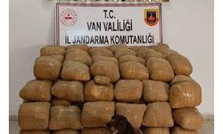 Bakan Soylu: Van'da 700 kilo toz esrar ele geçirildi